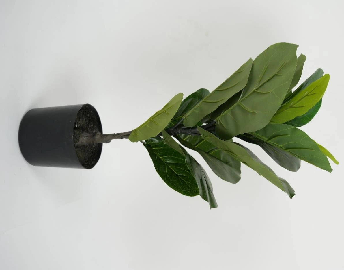 Fiddle Tree x15 Lvs PE Leaves And PU Trunk 60cm